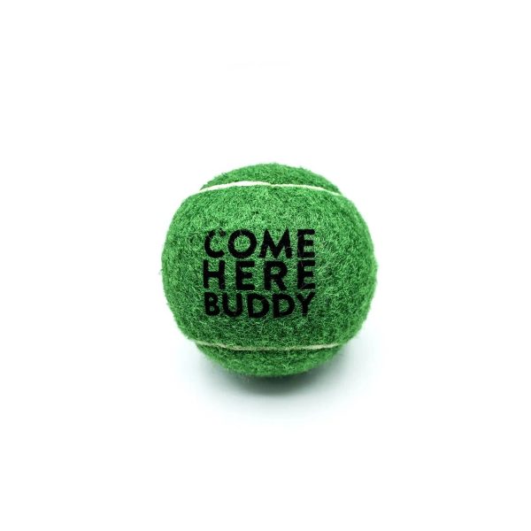 Set of 4 Come Here Buddy Tennis Balls in Green Online now