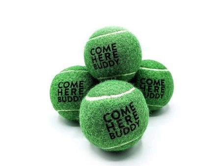 Set of 4 Come Here Buddy Tennis Balls in Green Online now