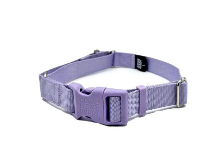 Lilac Martingale Collar Online