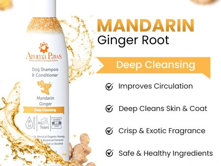 13.5 Oz. Shampoo Mandarin Ginger For Sale