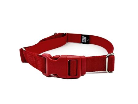 Red Martingale Collar on Sale