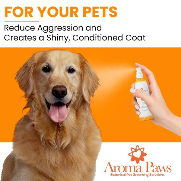 4.5 Oz. Dog Coat Spray Orange Nutmeg Vetiver Online Hot Sale