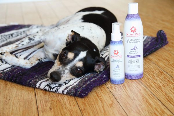 4.5 Oz. Dog Coat Spray Lavender Chamomile Online