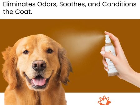 4.5 Oz. Dog Coat Spray Coconut Papaya Hot on Sale