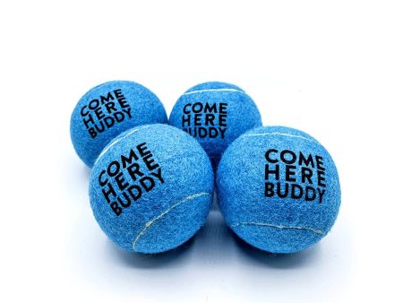 Set of 4 Come Here Buddy Tennis Balls in Sky Blue Sale