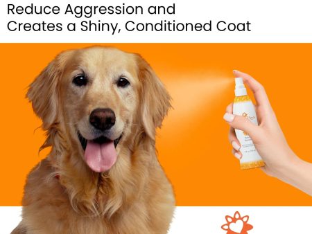 4.5 Oz. Dog Coat Spray Orange Nutmeg Vetiver Online Hot Sale