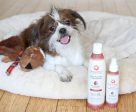 4.5 Oz. Dog Coat Spray Pomegranate Cucumber For Sale