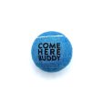 Set of 4 Come Here Buddy Tennis Balls in Sky Blue Sale