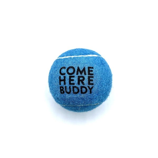 Set of 4 Come Here Buddy Tennis Balls in Sky Blue Sale