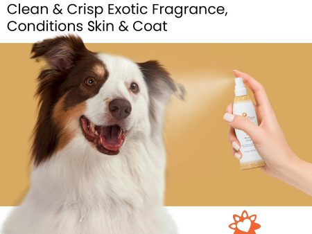 4.5 Oz. Dog Coat Spray Mandarin Ginger Discount