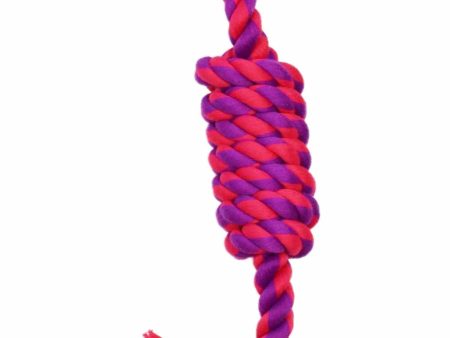 Amazing Pet Products Coil Rope on Sale