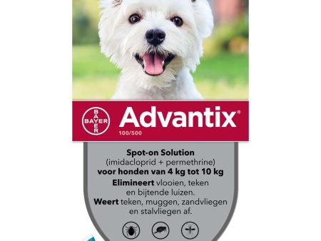 Advantix 100 500 Spot-On Hond 4-10kg For Discount