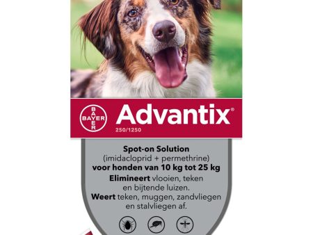 Advantix 250 1250 Spot-On Hond 10-25kg Hot on Sale