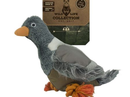 Wild Life Dog Pigeon (duif) Online Sale