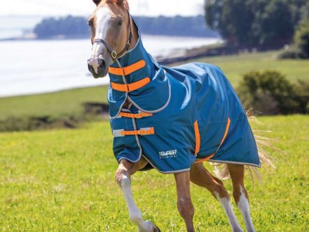 Tempest Original by Shires Regendecke Turnout Lite mit Halsstück Teal For Sale