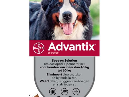 Advantix 600 3000 Spot On Hond Online