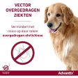 Advantix 40 200 Spot-On Hond <4kg Hot on Sale