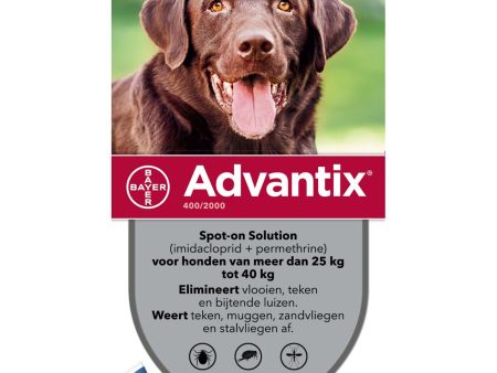 Advantix 400 2000 Spot-On Hond 25-40kg Online